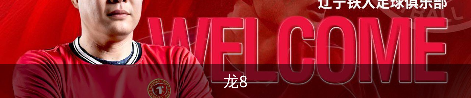 龙8